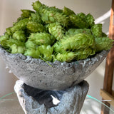 Balancing Bacchus