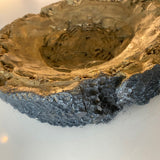 Cement Sculpture Unknown Fossil