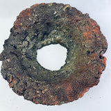Inside Cement Skirt