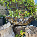 Cement Sculpture Fairy’s Bath Tub