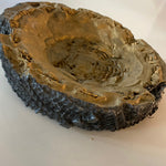Cement Sculpture Unknown Fossil