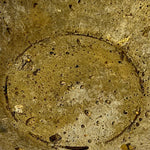 Cement Sculpture Stone Reptile Scale