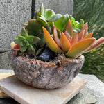 Cement Sculpture PEARL