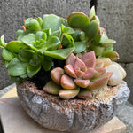 Cement Sculpture PEARL