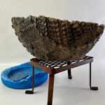 Cement Sculpture Stone Reptile Scale